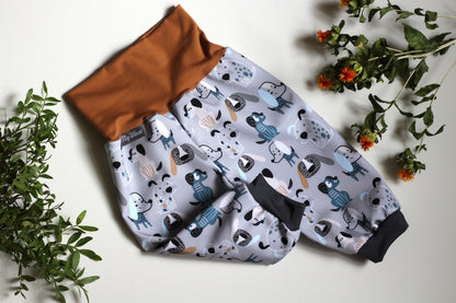 Softshell pants for dogs, grey