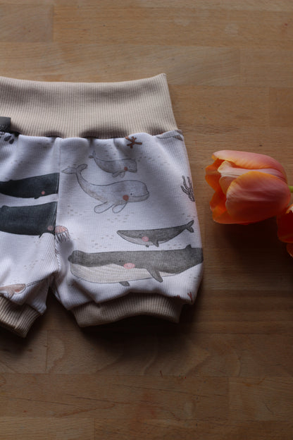 Handmade Pumpkurzhose Wale